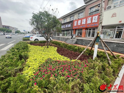 更好的濰坊 品質(zhì)優(yōu)丨顏值與品質(zhì)并存 濰坊全要素示范街來(lái)了