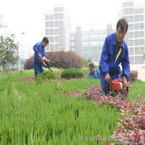 園林景觀綠化,園林景觀施工,市政工程,-產(chǎn)品列表-慧聰網(wǎng)商