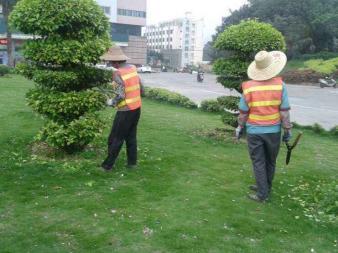 園林綠化施工、養(yǎng)護(hù),草皮銷售及種植,園區(qū)、市政等改造工程