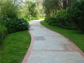 園林綠化工程特點(diǎn) 推動(dòng)國(guó)家園林城市綠地建設(shè)