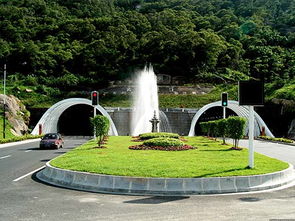 新穎的綠化公司名字大全