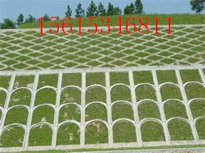 草種植生袋草種的配比情況