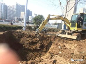 取消園林綠化施工資質(zhì),如何加強(qiáng)園林企業(yè)資質(zhì)管理