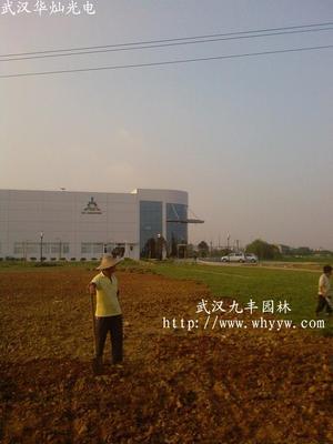 園林綠化設(shè)計,施工,苗木,花卉,草坪出售,工廠,廠商-武漢市久逢園林工程