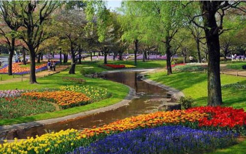 福州榕川隨車吊搬運 不同季節(jié)園林綠化施工要素和注意事項