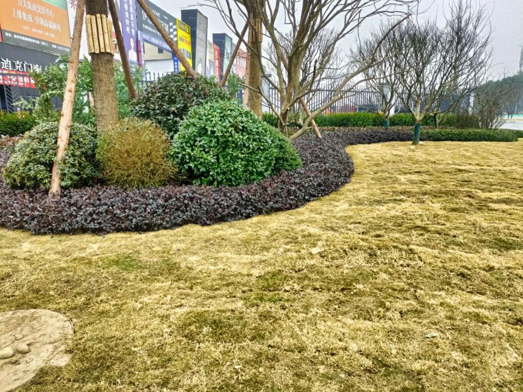 園林綠化工程 #施工現場實拍 #記錄在工地上的日子 #踏實