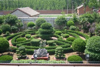 蘇州三葉綠化裝飾工程