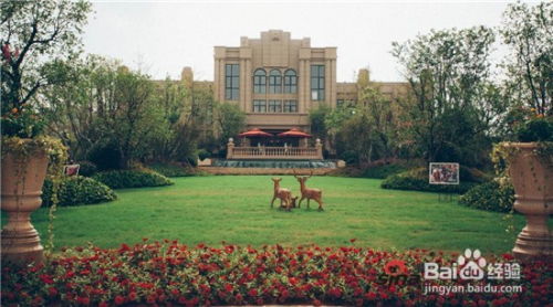 園林綠化施工中球類及花灌木的種植要點(diǎn)