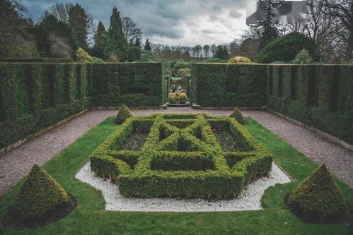 先地下，后地上 園林工程交叉施工的科學(xué)管理策略