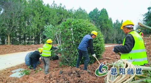 假期不停工，大梁山城市公園建設(shè)加速推進(jìn)體育場(chǎng)地設(shè)施工程