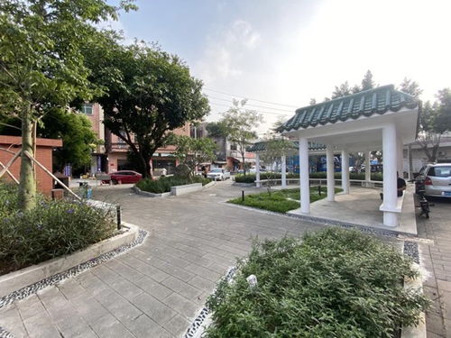 厚街鎮(zhèn)積極推進(jìn)園林綠化品質(zhì)提升工程，5個(gè)口袋公園建成落地